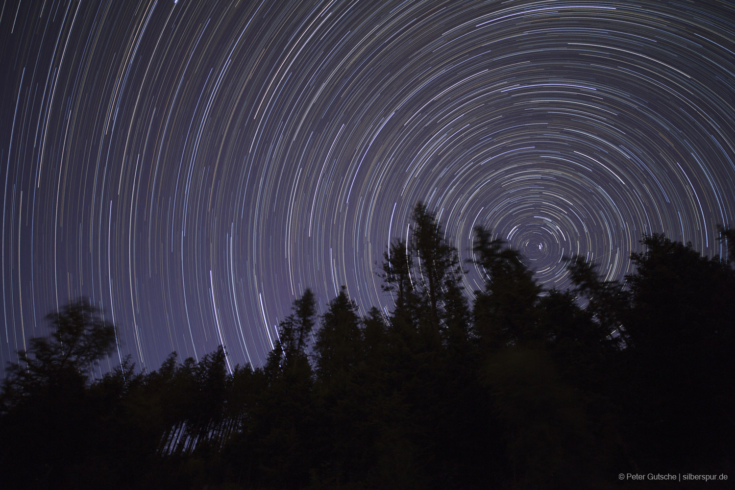 The dark silhouette of a forest, and above it the nighty sky, exposed long time.
Therefore, the stars are visible as trails.
As the photo is shot into Northern direction,
the celestial pole is visible, around which the star trails are formed in circles.