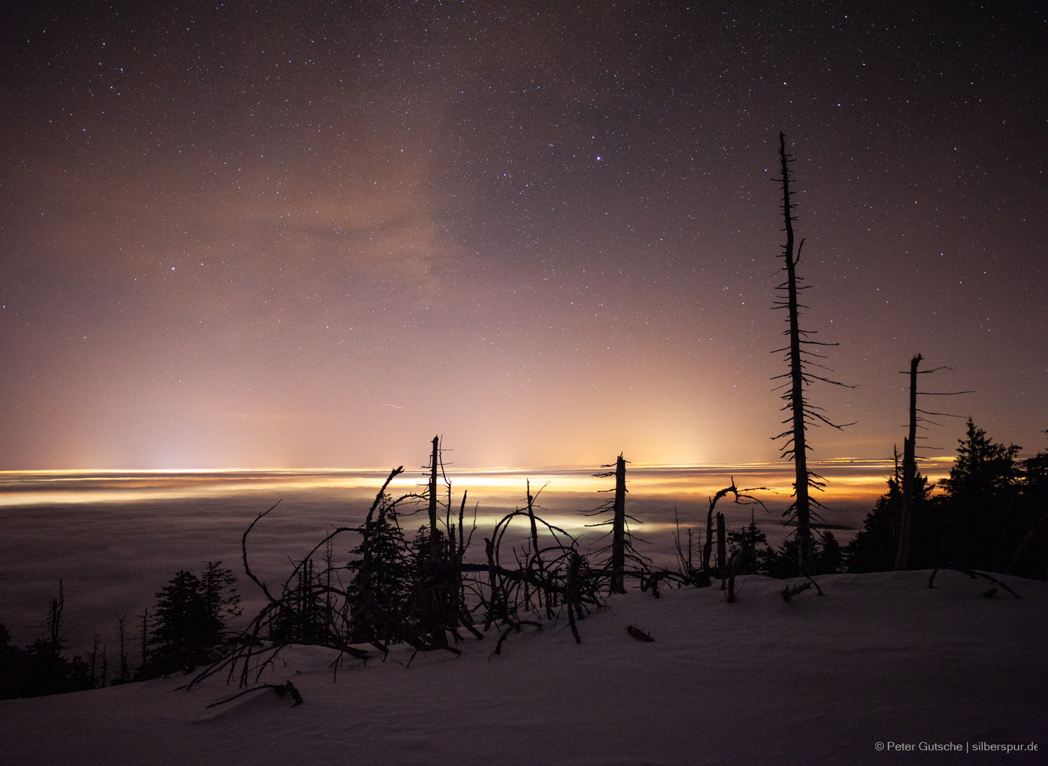 The dark silhouette of dead trees in a snow covered mountain top. In the background,
a plain under a sea of fog with lights from towns illuminating the fog from underneath.
Above, in the sky, stars are visible.