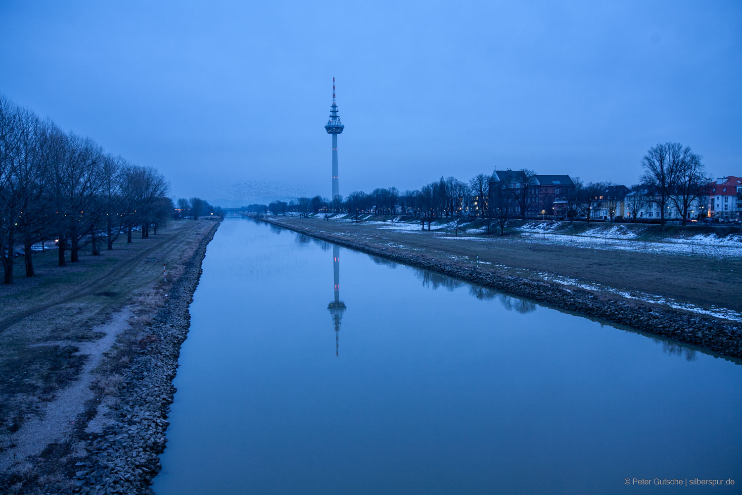 Ein in monochrom Blau gehaltenes Foto des Neckars in Mannheim abends in der blauen Stunde. Man blickt von einer Brücke auf den Fluss, der sich perspektivisch zur Bildmitte hin verjüngt. Dort ist dann auch rechts am Flussufer der Fernsehturm Mannheims zu sehen. Über dem Fluss in der Ferne der durch Bewegungsunschärfe verschwommene Schwarm von Vögeln.