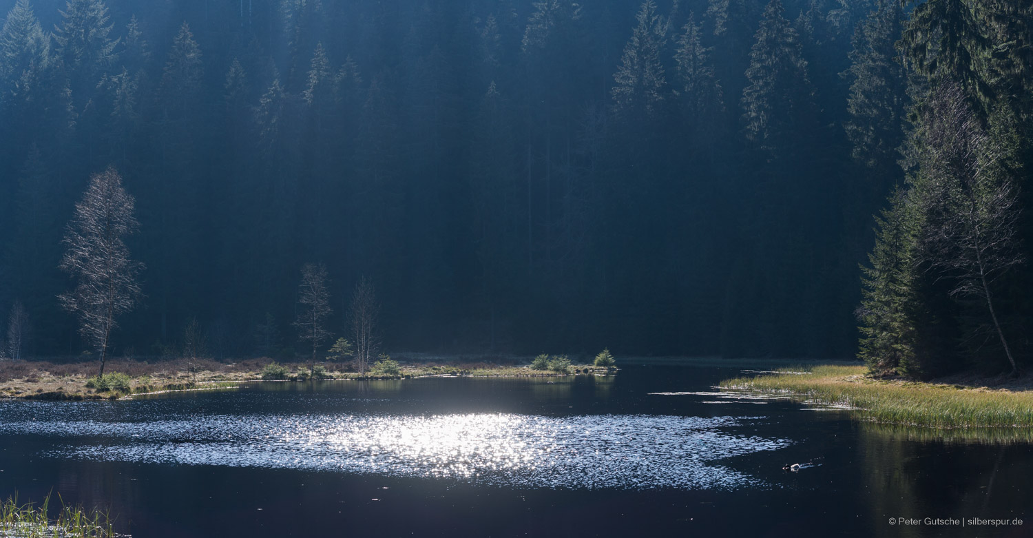 Panorama of a lake at a late summer day with the low sun reflecting on the surface.