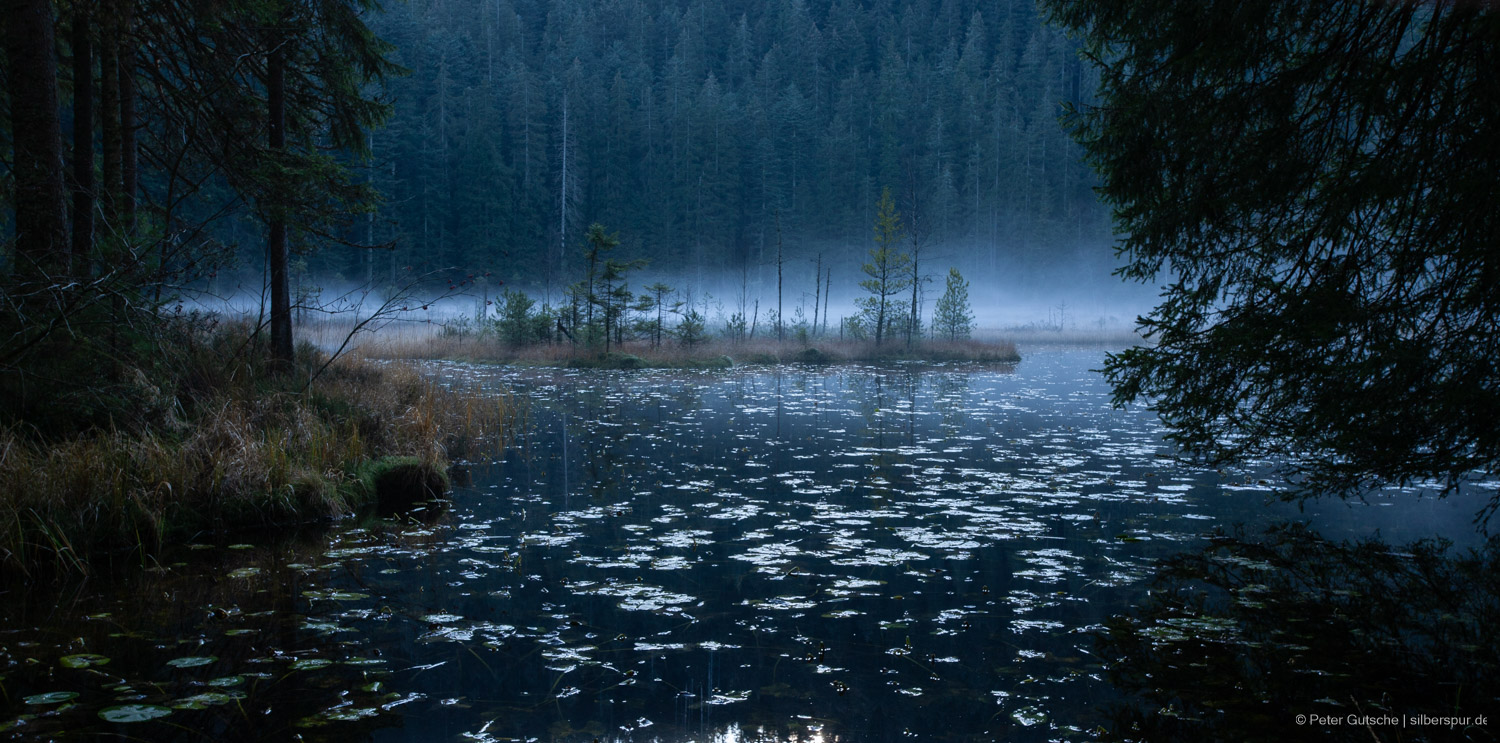 Huzenbacher See seen at late afternoon through trees with water lilies reflecting the light of the sky. The photo transfers a mystical mood.