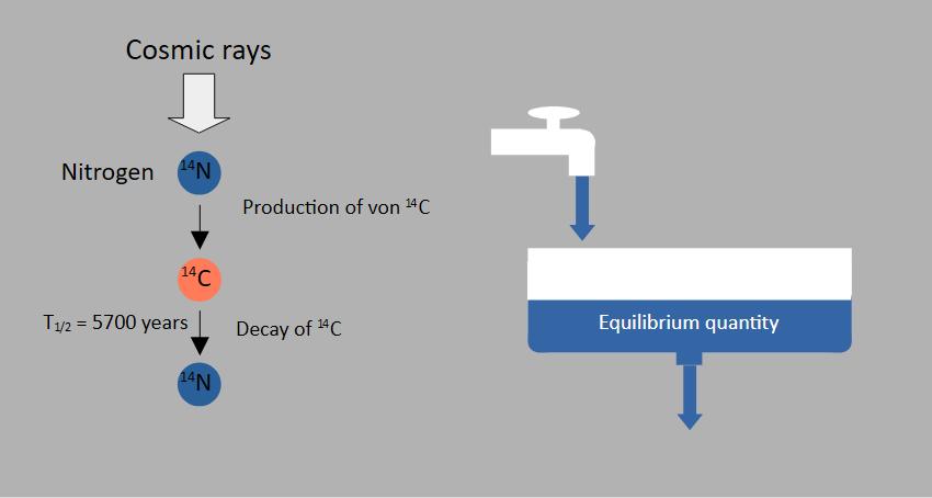 Schematic presentation of the establishment of a flow equilibrium for ${}^{14}\mathrm{C}$. On the left, ${}^{14}\mathrm{C}$ is produced by the interaction of nitrogen with cosmic radiation. Also, the decay of the newly formed nucleus is shown. On the right, a bathtub is filled with water (at a constant rate) from above – an analogy for the production of ${}^{14}\mathrm{C}$ – and drained through a hole in the bottom – an analogy for the decay of ${}^{14}\mathrm{C}$. The volume of water flowing in and the volume lost are equal (in a certain time period) when a certain volume of water is reached (equilibrium water level). This is the flow equilibrium.