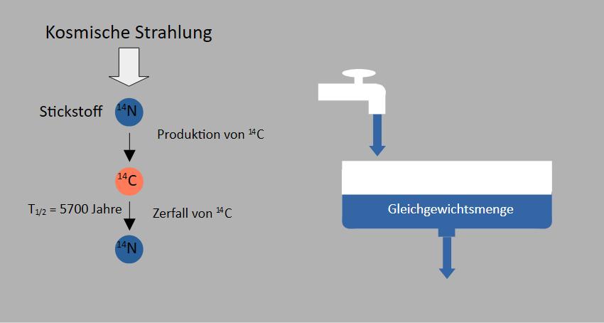 Schematisches Bild, bei dem links die Produktion von ${}^{14}\mathrm{C}$ (durch Beschuss von Stickstoff mit kosmischer Strahlung) und der Zerfall desselben eingezeichnet ist. Rechts davon eine Badewanne mit einem Gleichgewichtswasserspiegel, der die Wassermenge im Fließgleichgewicht darstellen soll.