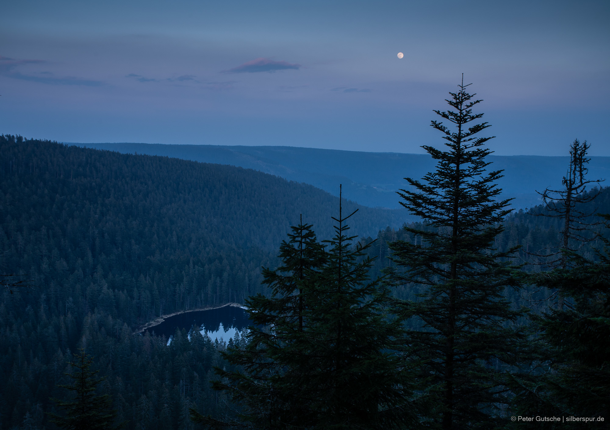 Ein in einer Waldsenke von dichtem Nadelwald umgebener See in der Abenddämmerung. Die umliegenden Berge sind in blaues Licht getaucht. Darüber der aufgehende Vollmond.