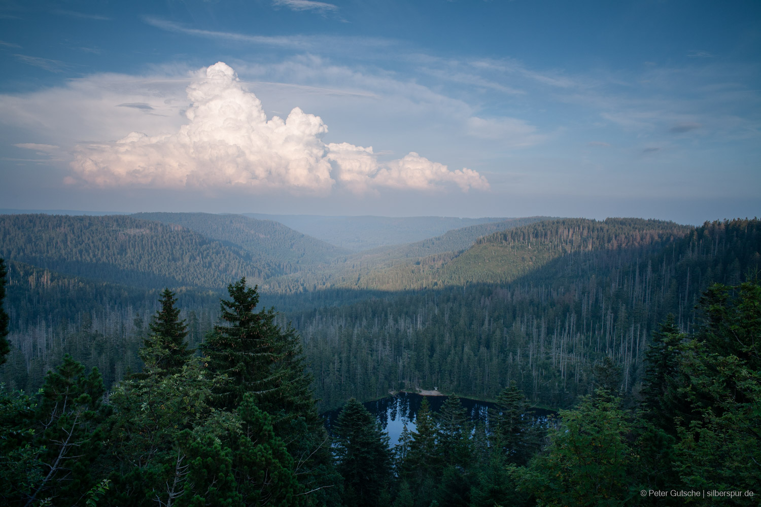 View of the Wildsee on a summer day. In the background, a thundercloud towers over the distant mountains.